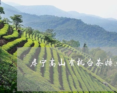 寿宁高山有机白茶特点是/2023102447261