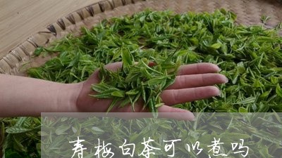 寿梅白茶可以煮吗/2023061876150