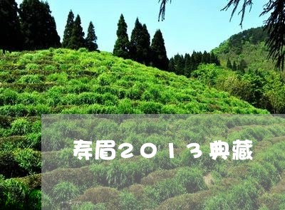 寿眉2013典藏/2023090885251