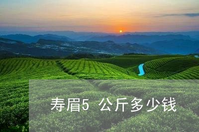 寿眉5公斤多少钱/2023090859284