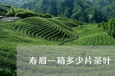 寿眉一箱多少片茶叶/2023120469585