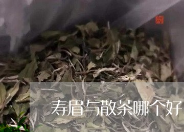 寿眉与散茶哪个好/2023061827158