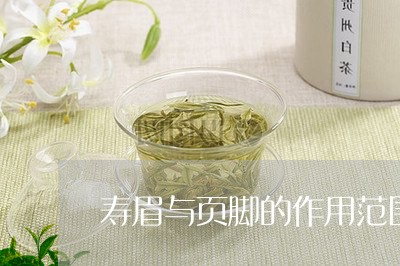 寿眉与页脚的作用范围/2023093023036