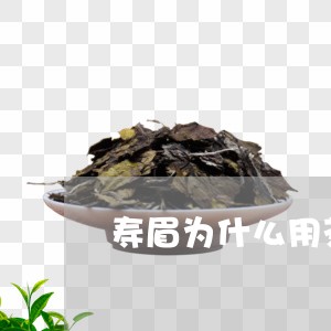 寿眉为什么用茶梗/2023090875038