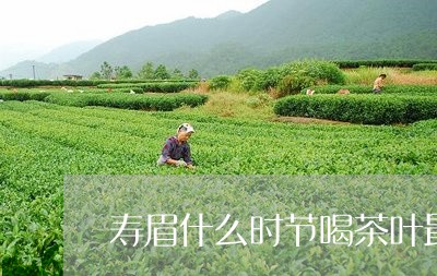 寿眉什么时节喝茶叶最好/2023092430692