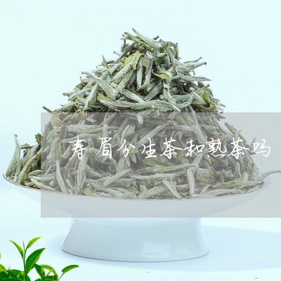 寿眉分生茶和熟茶吗/2023120457173