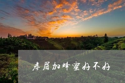 寿眉加蜂蜜好不好/2023090857169