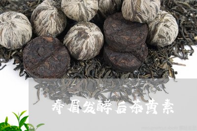 寿眉发酵后茶黄素/2023090823714