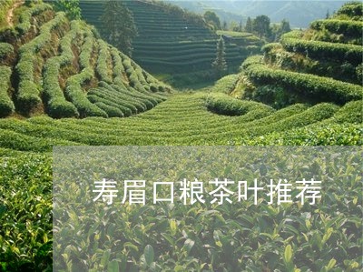 寿眉口粮茶叶推荐/2023061838404