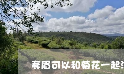 寿眉可以和菊花一起泡吗/2023102405259