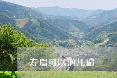 寿眉可以泡几遍/2023112448303