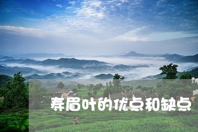 寿眉叶的优点和缺点/2023120482614