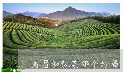 寿眉和散茶哪个好喝/2023120406261