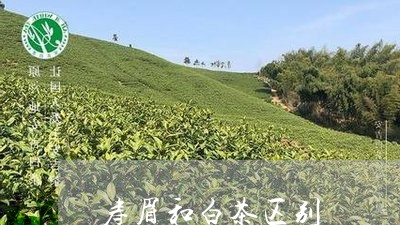 寿眉和白茶区别/2023112450704