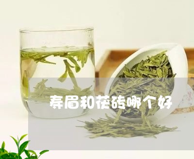 寿眉和茯砖哪个好/2023090828179