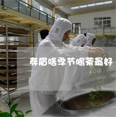 寿眉啥季节喝茶最好/2023091361694