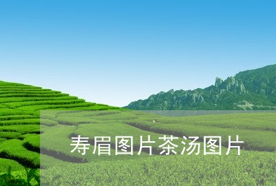 寿眉图片茶汤图片/2023061715151