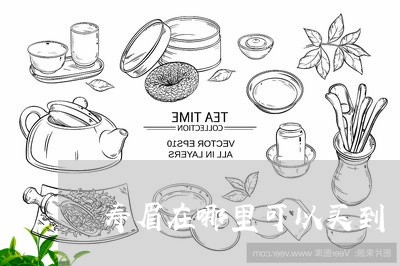 寿眉在哪里可以买到/2023120502615