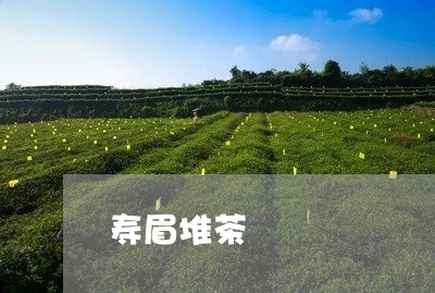 寿眉堆茶/2023082753028