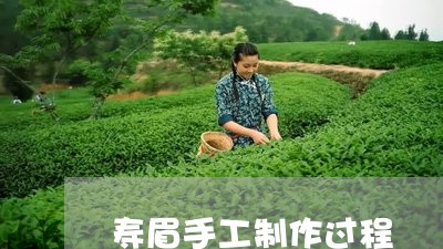 寿眉手工制作过程/2023090803705