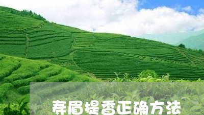 寿眉提香正确方法/2023090890484