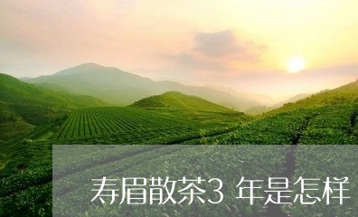 寿眉散茶3年是怎样/2023120484168