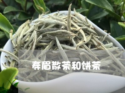 寿眉散茶和饼茶/2023112478482