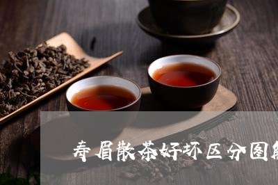 寿眉散茶好坏区分图解法/2023102449615