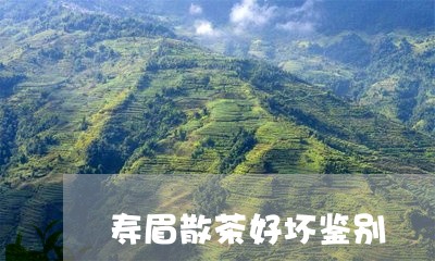 寿眉散茶好坏鉴别/2023061736059