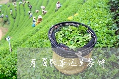 寿眉散茶还是茶饼/2023090889583