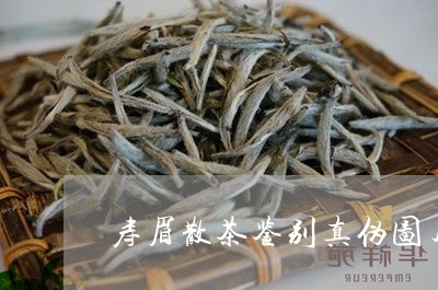 寿眉散茶鉴别真伪图片/2023093004947