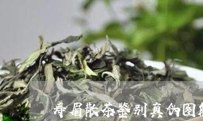 寿眉散茶鉴别真伪图解法/2023102532604