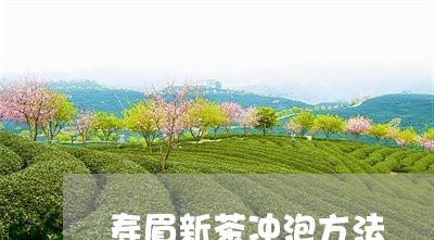 寿眉新茶冲泡方法/2023090815939