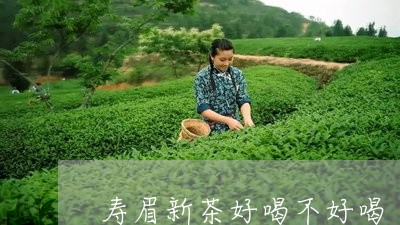 寿眉新茶好喝不好喝/2023120457369