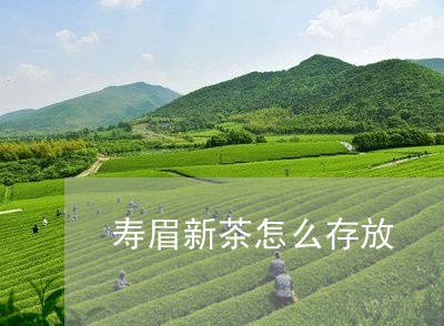 寿眉新茶怎么存放/2023090806281