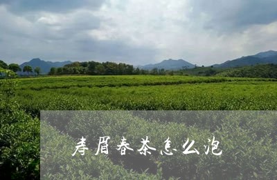 寿眉春茶怎么泡/2023120464918