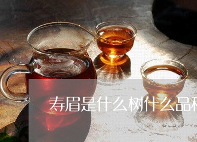 寿眉是什么树什么品种好/2023092417270