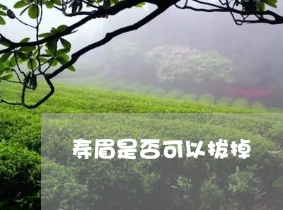 寿眉是否可以拔掉/2023061756450