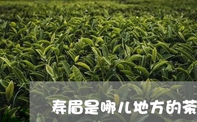 寿眉是哪儿地方的茶/2023120438381