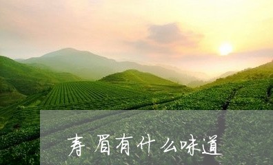 寿眉有什么味道/2023112400941