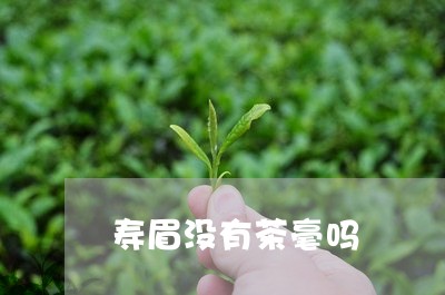 寿眉没有茶毫吗/2023112426047