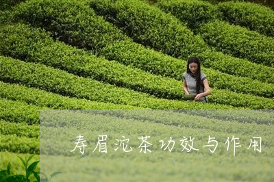 寿眉沱茶功效与作用/2023091309606