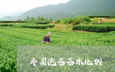 寿眉泡茶茶水比例/2023061900614