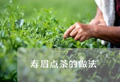 寿眉点茶的做法/2023112450493