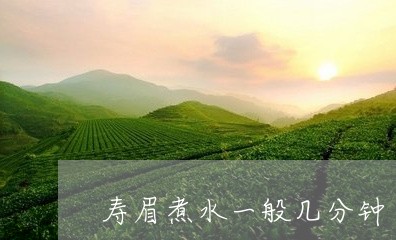 寿眉煮水一般几分钟/2023120419483