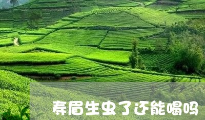 寿眉生虫了还能喝吗/2023120471603