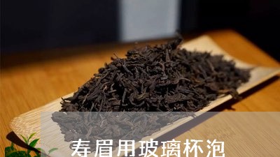 寿眉用玻璃杯泡/2023112480382