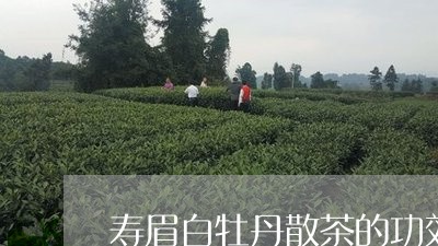 寿眉白牡丹散茶的功效/2023120995946