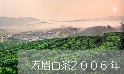 寿眉白茶2006年/2023120438461