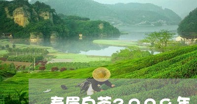 寿眉白茶2009年/2023120450605